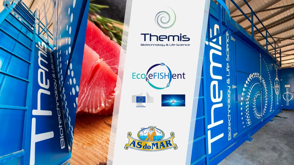 Themis WRT500 at Generale Conserve SpA Production Site