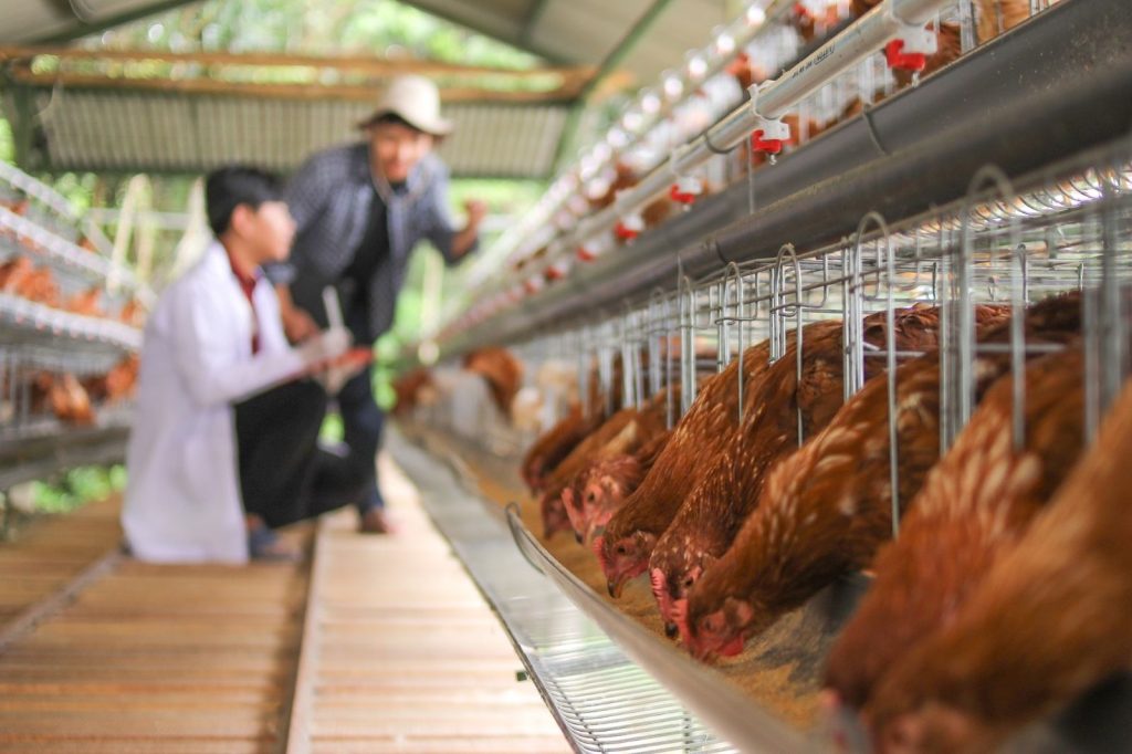 Direttiva IED 2.0- la nuova sfida per le emissioni industriali e come superarla con l’economia circolare