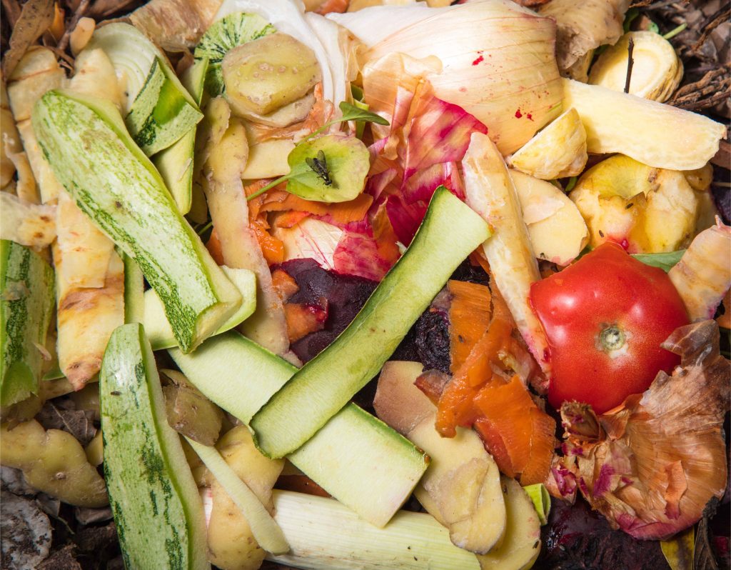 Waste before being processed with WRT-X