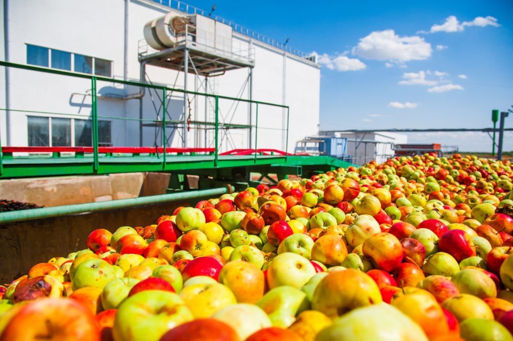 Sostenibilità del settore agroalimentare: impatti e normative UE da conoscere assolutamente