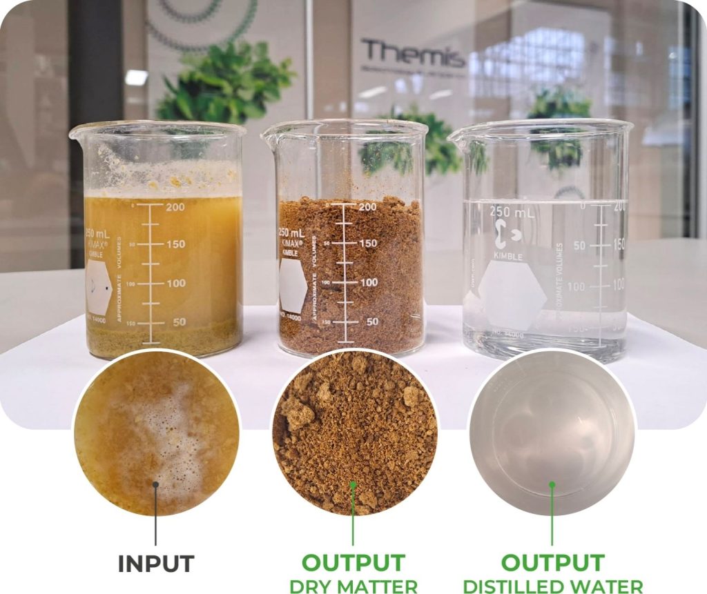 Dai residui della birra a ingredienti del futuro- la valorizzazione dei Brewer’s Spent Grains con Themis WRT 