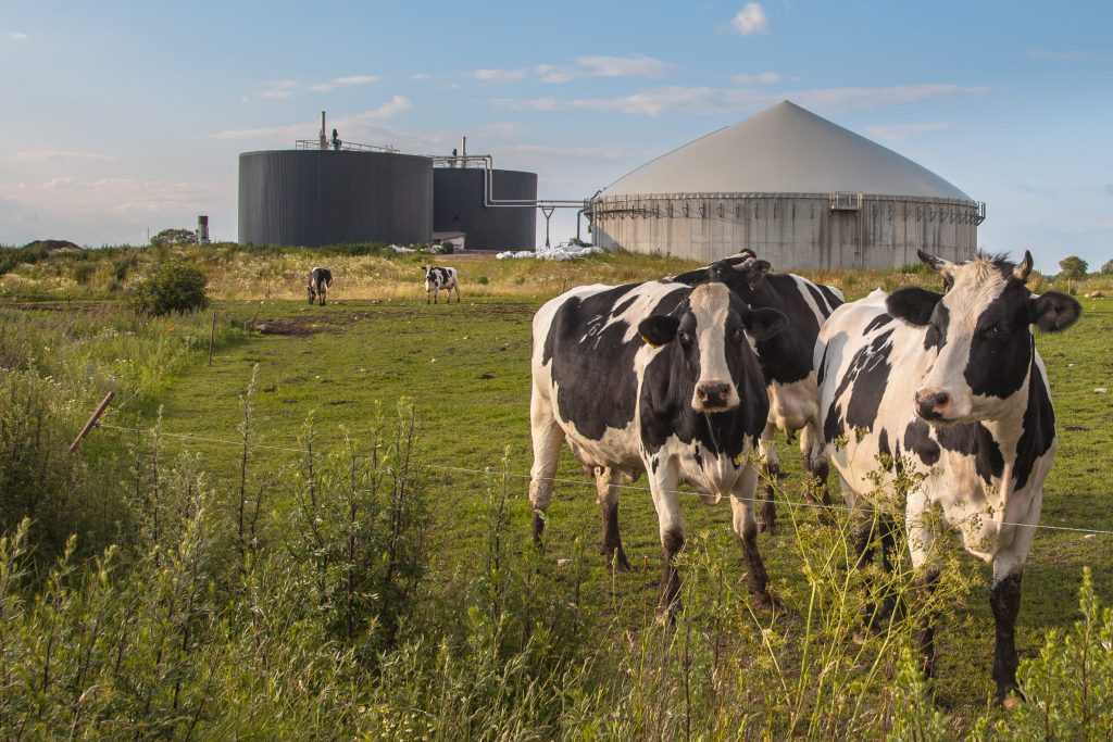 Enzymes and natural microorganisms_the smart processing of industrial waste_biogas