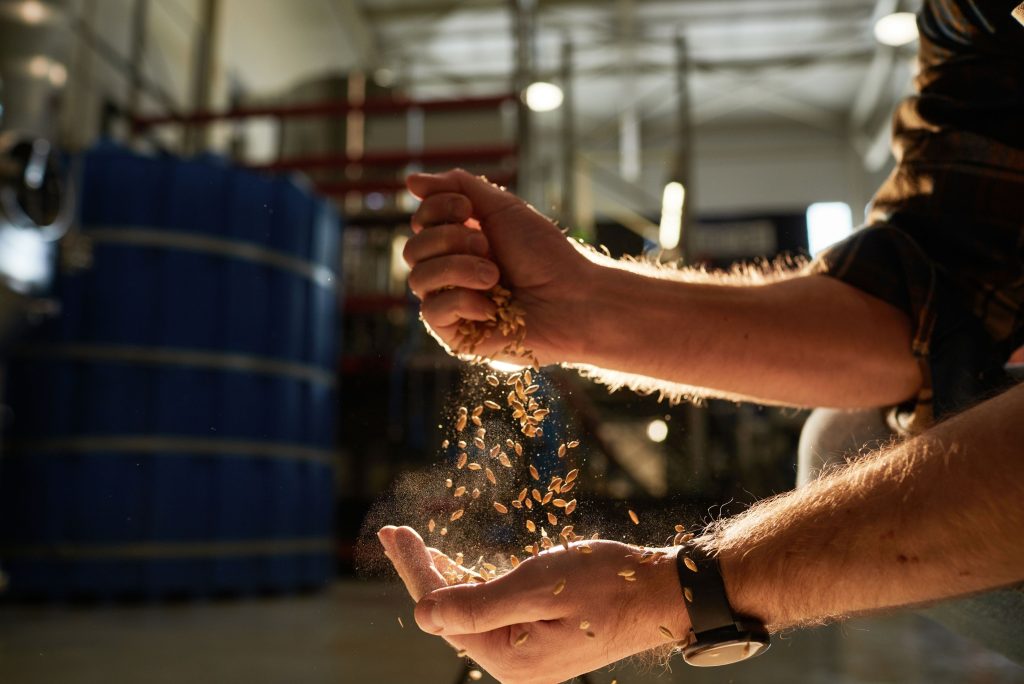 Food Waste and Industrial Upcycling: Turning Food Waste into Resources_trebbie